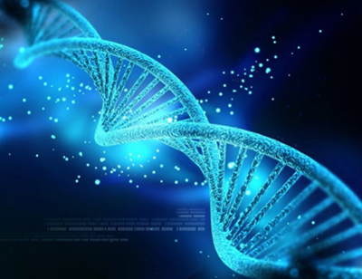 生物基因領(lǐng)域的新動力 傲銳東源生物基因加盟推動生物研究發(fā)展
