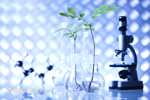實(shí)驗(yàn)室生物有機(jī)現(xiàn)代概念在生物研究中的核心應(yīng)用