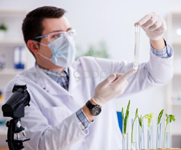 探索生命綠洲 植物男生物化學家的科研之旅