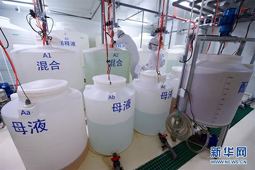 探索生命奧秘 中國(guó)科學(xué)院植物研究所的生物研究前沿