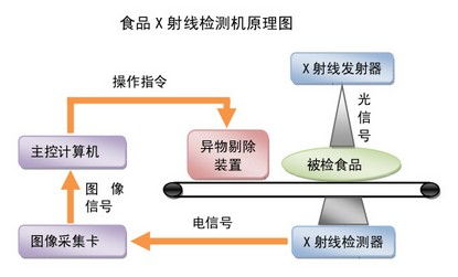 食品生物技術的發展趨勢與生物研究的前沿探索